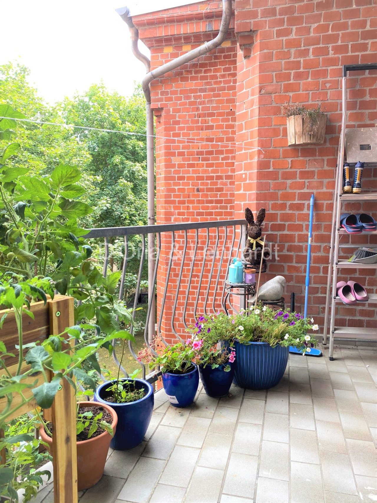 Balkon Balkon